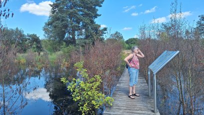 Strabrechtse Heide - Lierop - Geldrop - Heeze