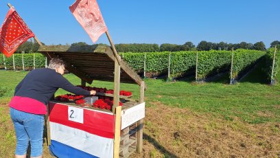 Langenboom - Wijchen - Ravenstijn - Langenboom