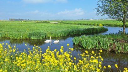 Reindersmeer