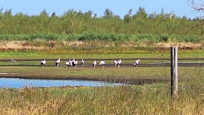 Strabrechtse Heide - Lierop-Heeze-Geldrop